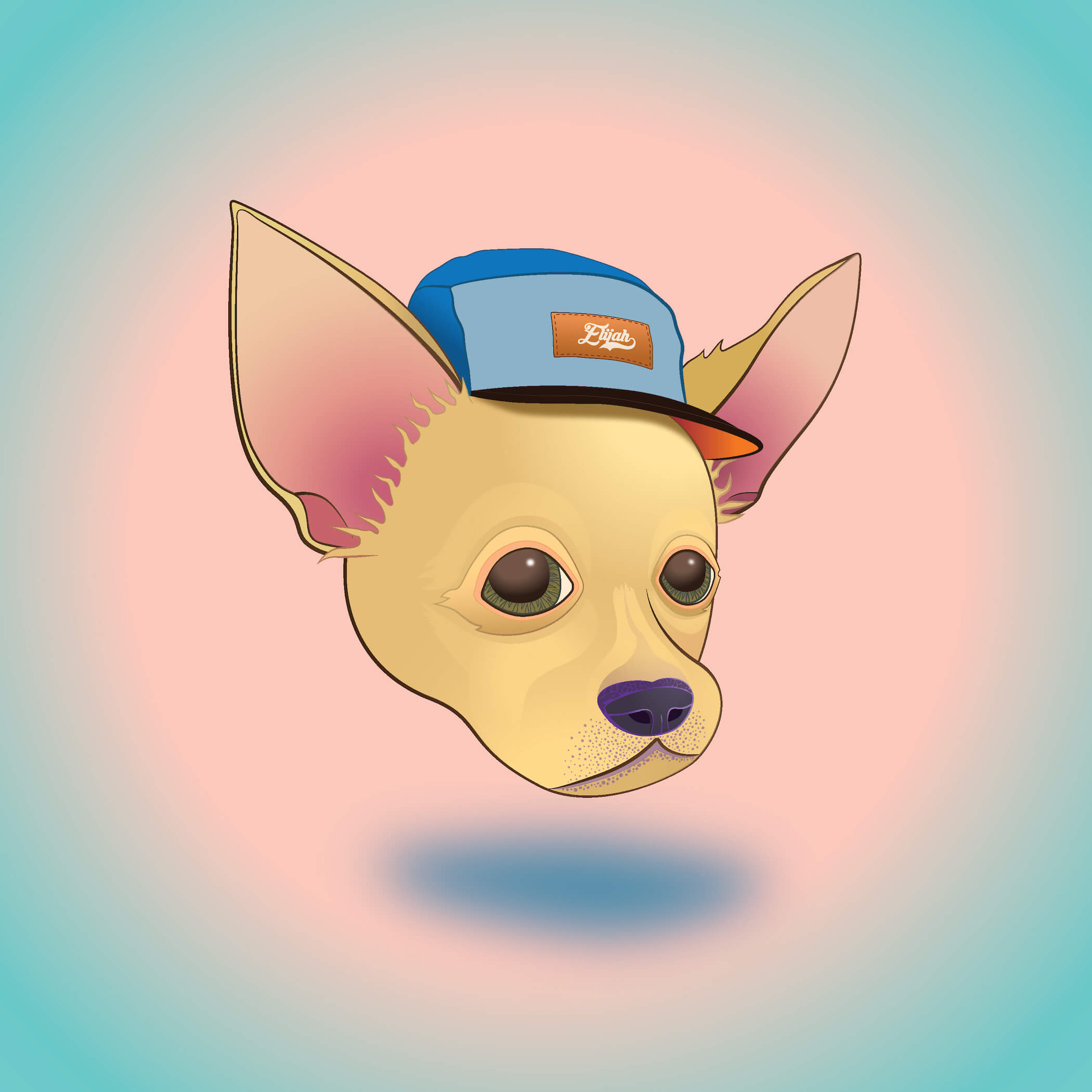 chihuahua head with hat